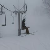 IMG-20250320