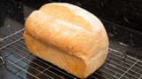 bred