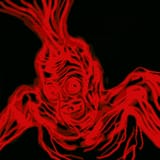 divinelightsevered