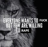 4825246_lion2