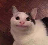 juj9MGJ