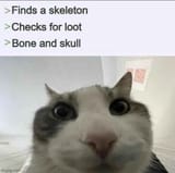 18321673