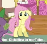 blew up toilet