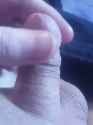 testpp3_thumb.jpg