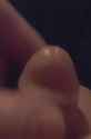 tinysoftpp3_thumb.jpg