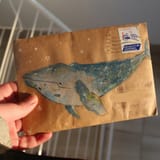 snail mail
