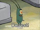 correct-plankton
