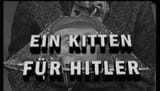 Screenshot_2025-03-19_at_16-06-56_A_Kitten_For_Hitler.mov_-_YouTube