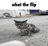 caption