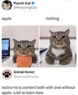 1000008466