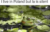 1000017755