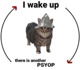 pspspsyop