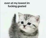 GpfxWlrbEAYemxO