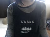 swans_fan