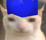 zezima