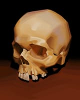 skull
