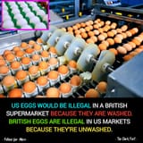 do-you-have-a-loicense-for-that-egg