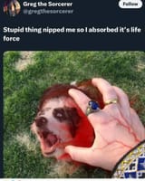 1000006619