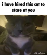 Thread 34035274 OP Image