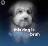 1732884658737