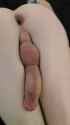 CrookedTurquoiseSawfish-mobile (1)_thumb.jpg