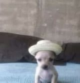 500aa1c31c78782c81966761a77cccee