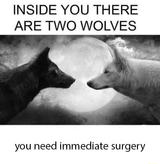 Wolf