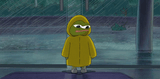raincoat-apu