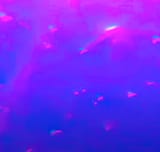 sssss