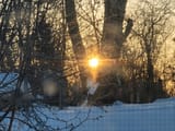 20241214_080501