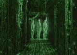 the-matrix-is-a-perfectly-symmetrical-film