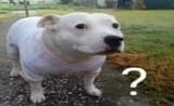 1747628425870986