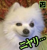 1601479836740