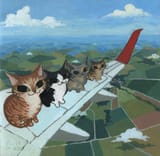kelly pringle airplane wing cats
