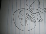 IMG_20250623_125446