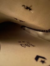 shoe