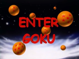 ENTER GOKU
