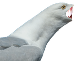 ns