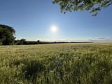 IMG_1406