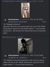 Thread 34083113 OP Image