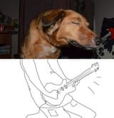 dog shredding