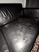 1000025573