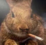 smoking