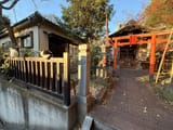 cat-shrine