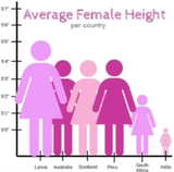 average female height