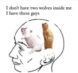 FB_IMG_1751326389259