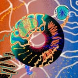 17919B68-DA72-441D-A216-5952C2386C00