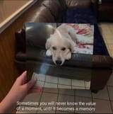 1747431291210634