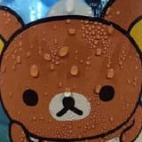 300px-Sweating_Rilakkuma-2991048086