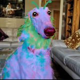 Scary_alien